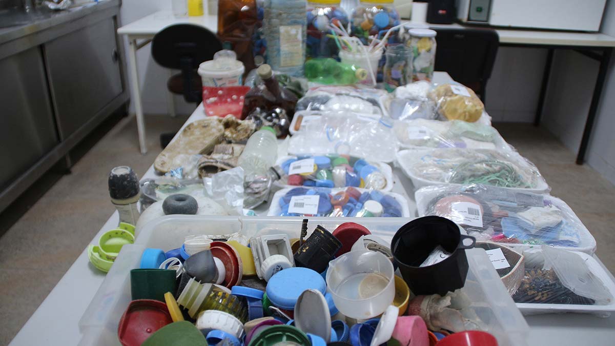 Karadeniz sahillerinde plastik kirliliği azaldı