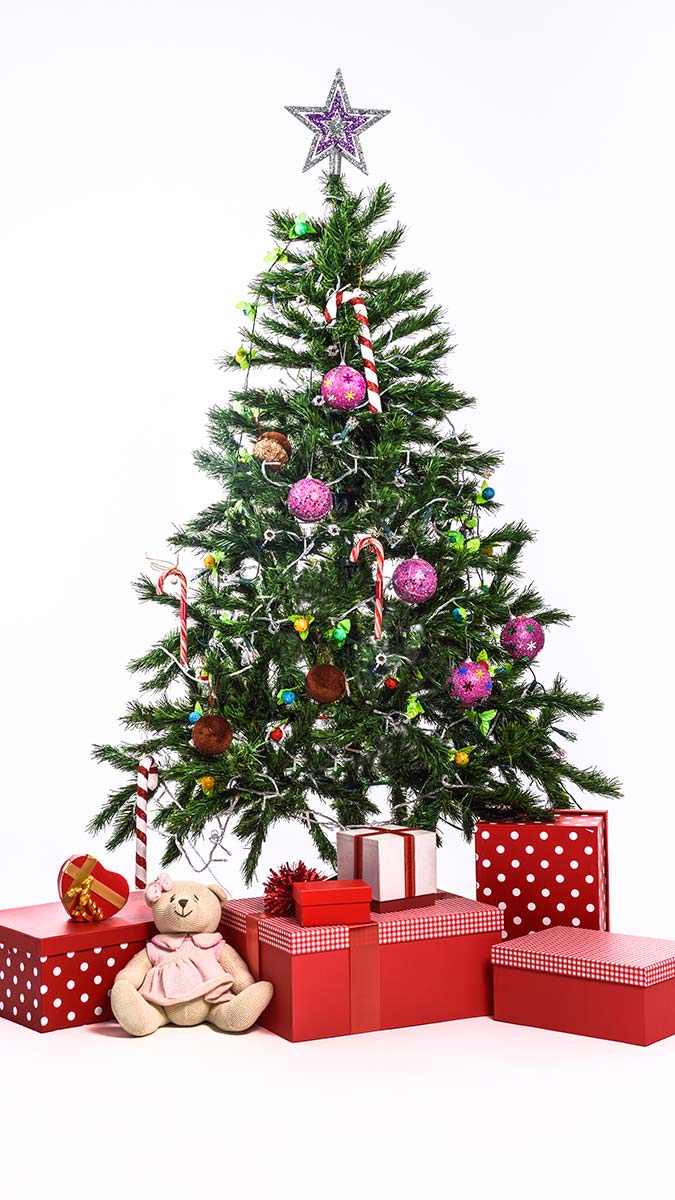 Yeni yılda çam ağacı süslemek çok eski bir gelenek olmakla birlikte çoğunlukla Hristiyanlık ile bağdaştırılmaktadır. İşin özünde Noel ağacının çam ağacı olması tesadüf değildir.