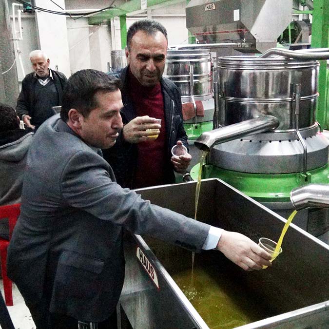 Zeytinyağında hileye dikkat