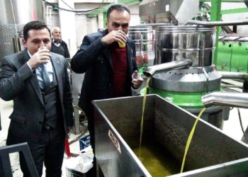 Zeytinyağında hileye dikkat
