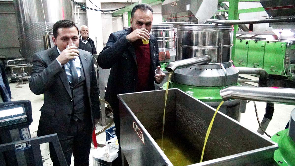 Zeytinyağında hileye dikkat