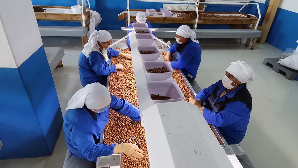 122 ülkeye, 344 bin ton iç fındık ihraç edildi