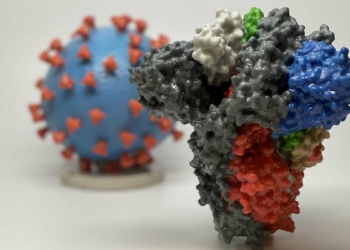 Covid-19 ve Bağışıklık