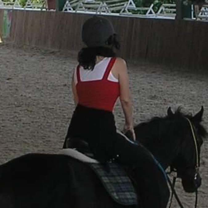 Yorgancıoğlu atlarla "Yorgalama"dan geliyor... Adeta gelin, tırıs gidin , rahvan gelin, kenter (eşkin) dönün, dörtnal yürüyüşlerle gelin atlayın gelin...