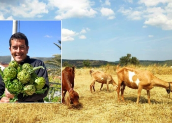 Gazetecilik okudu çiftçi oldu