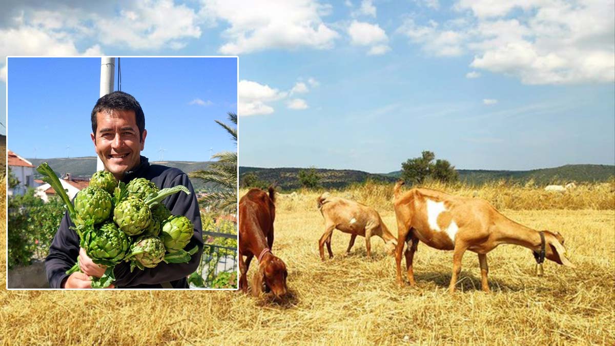 Gazetecilik okudu çiftçi oldu