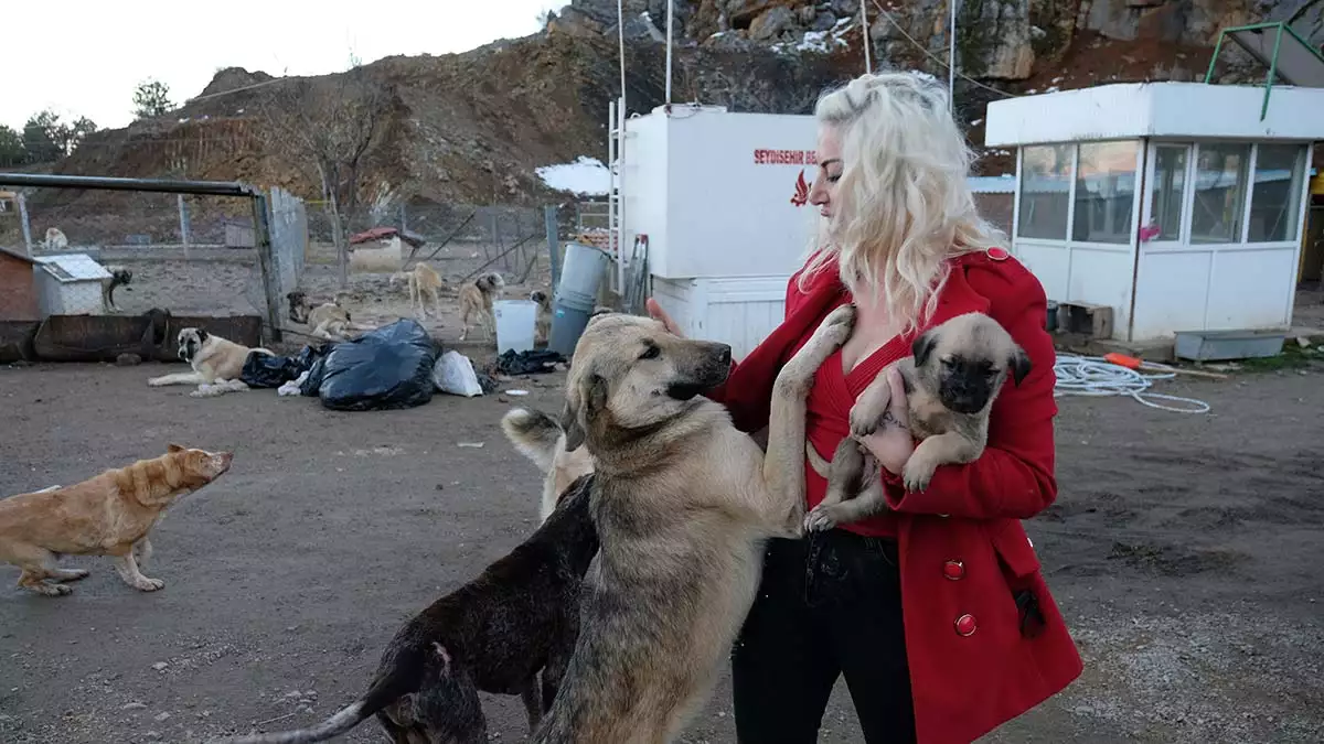 Konya'nın seydişehir ilçesinde ayla sayar (35), belediyenin kendisine tahsis ettiği 2 bin metrekarelik arazide 500'e yakın kedi ve köpeği besliyor.