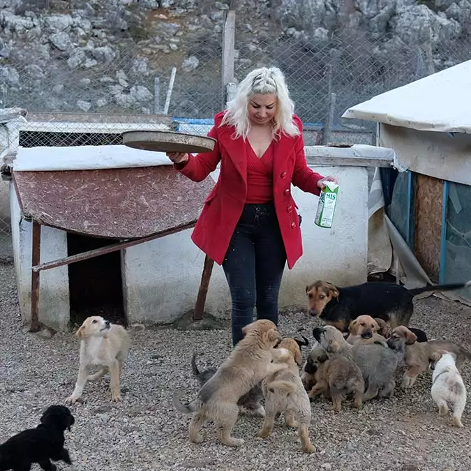 500'e yakın kedi ve köpeği besliyor