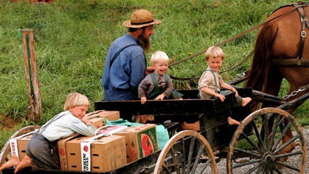 400 yıldır teknolojiyi reddeden Amişler (Amishler)