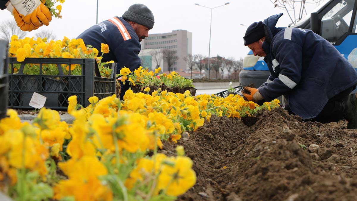 Daha yeşil bir Elmadağ için fidanlar toprakla buluştu