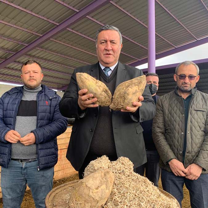 Pancar çiftçisi isyanda