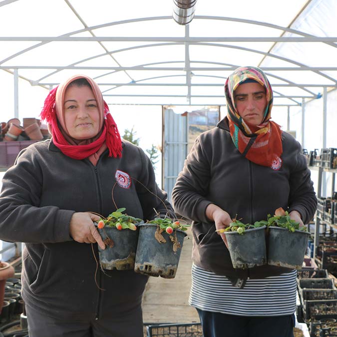 Daha yeşil bir Elmadağ için fidanlar toprakla buluştu
