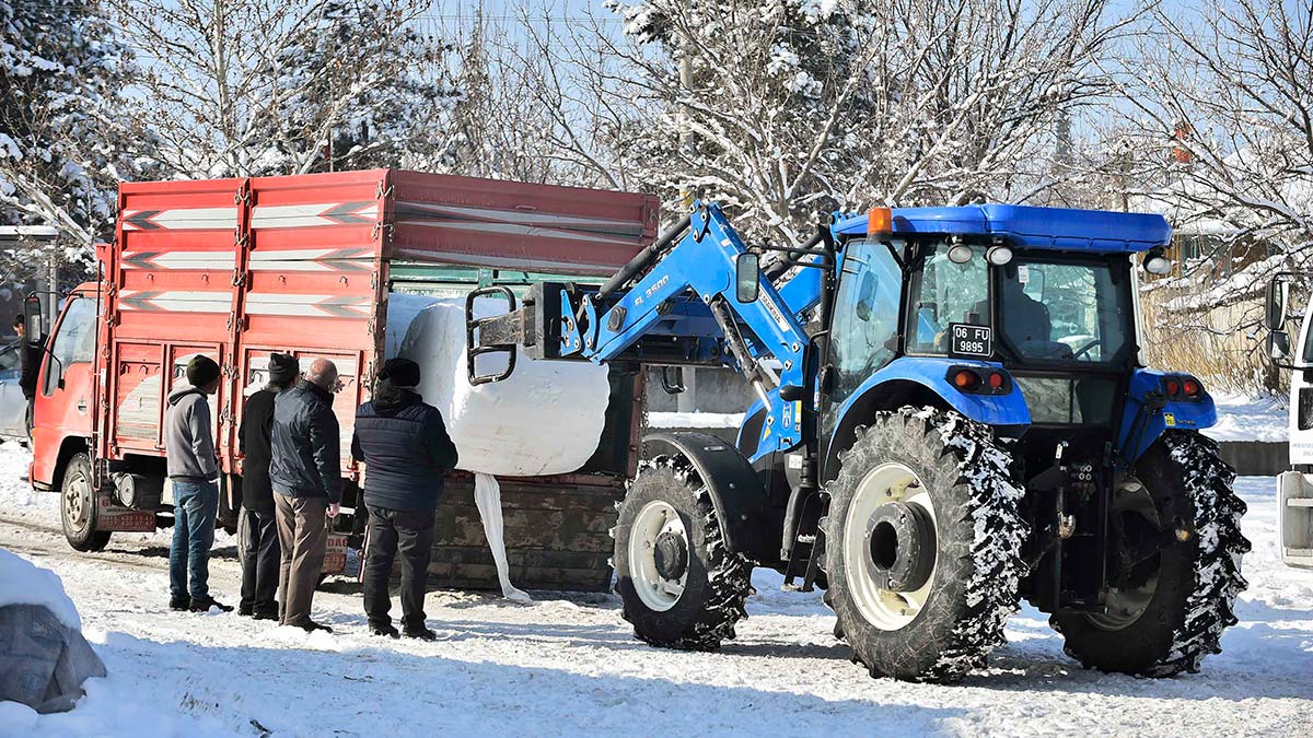 Kadın üreticilere % 100 hibe hayvan yem desteği