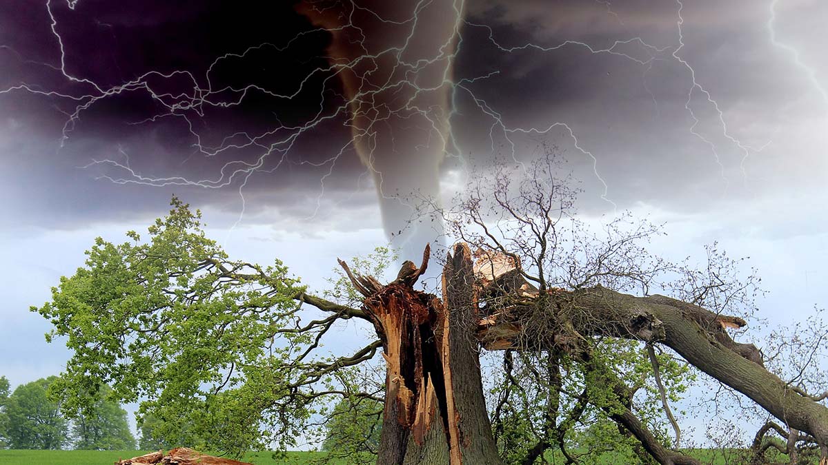 2021'in maliyeti 145 milyar dolar