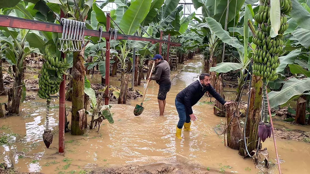 Alanya'da aşırı yağış; seralar su altında kaldı
