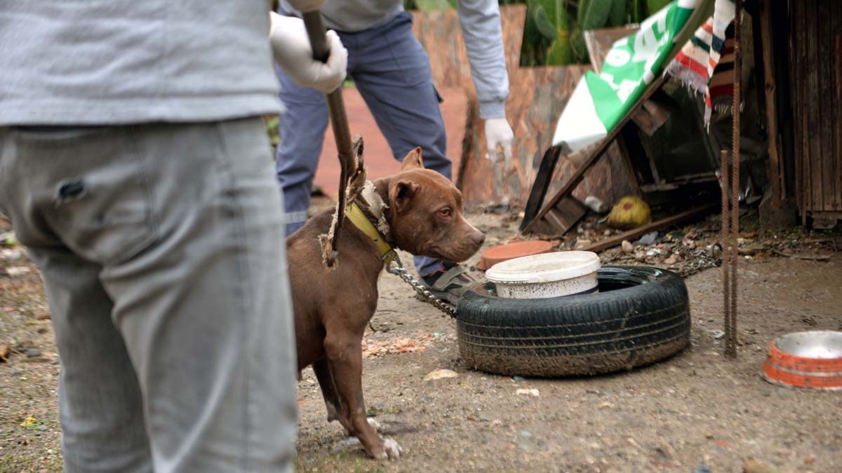 Ankara Barosu'ndan "Pati Yardım Hattı"