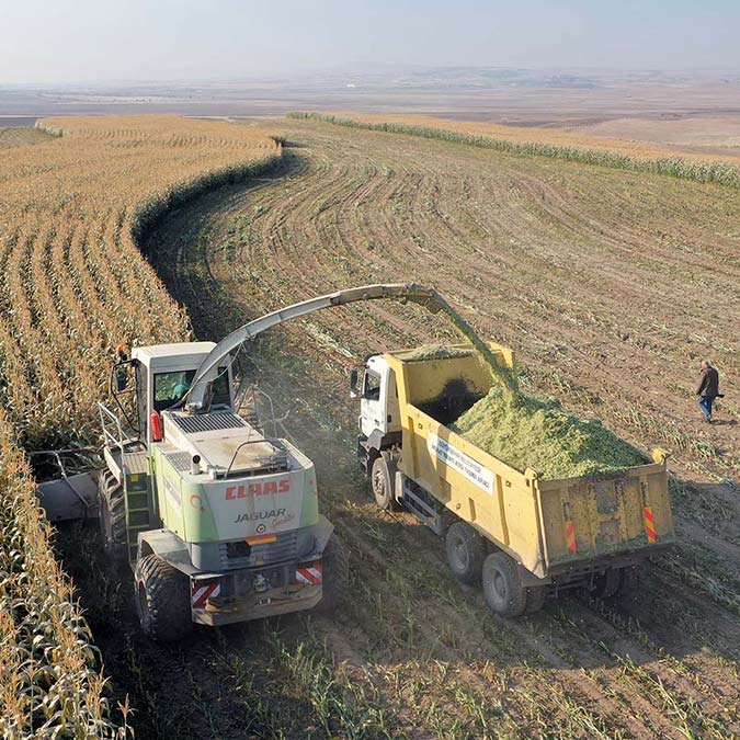 Ankara Büyükşehir Belediyesi, kırsal kalkınmayı desteklemek ve yerli üretme katkı sağlamak amacıyla kadın üreticilere yüzde 100 hibe hayvan yem desteği vermeye başladı.