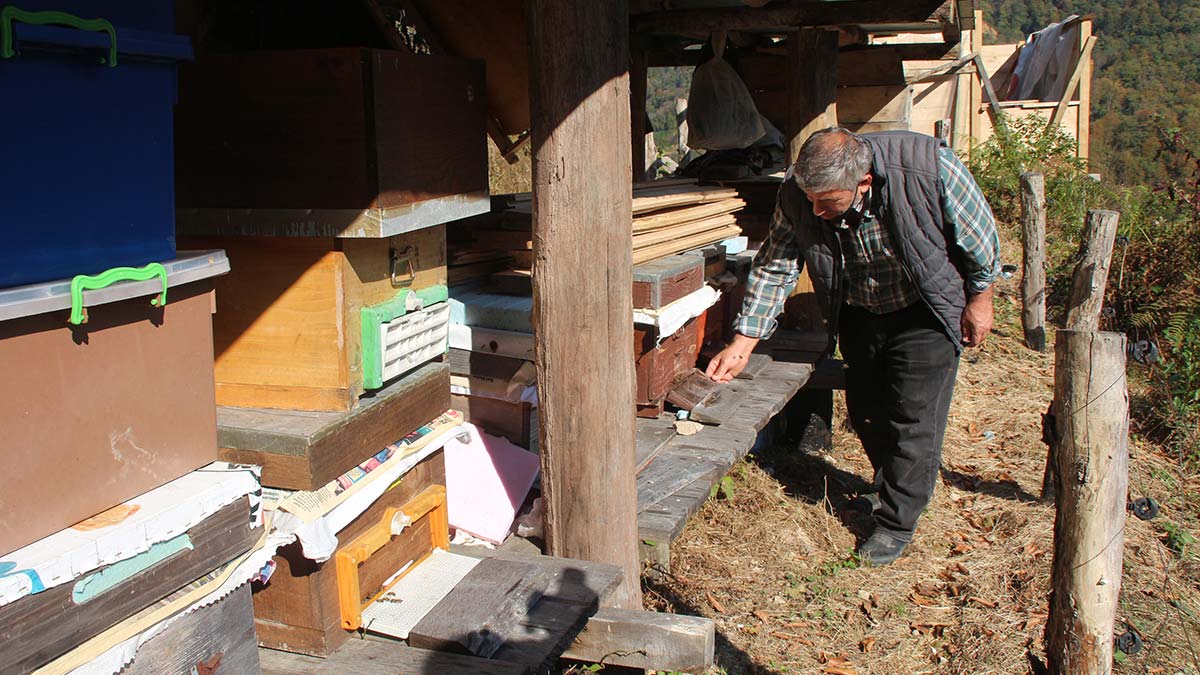 'Bal ormanı'na taş ocağına 'ÇED gerekli değil' kararı iptal