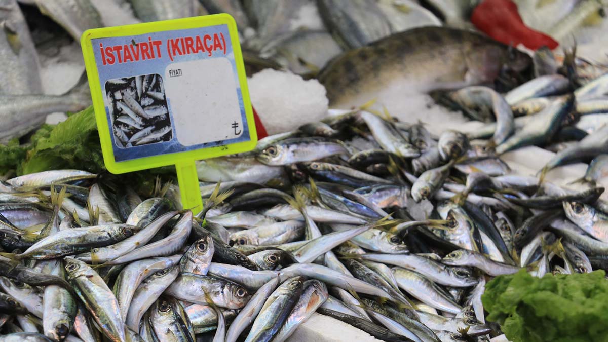 Samsun'da etkili olan soğuk hava ve fırtına nedeniyle balıkçılar, ava çıkamayınca tezgahlarda balık çeşitleri azaldı; fiyatlarda ise artış gözlendi.  
