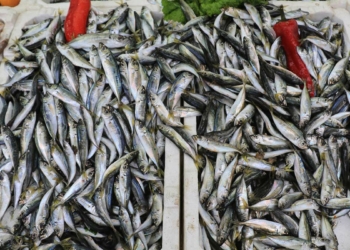 Tezgahlarda balık çeşitleri azaldı