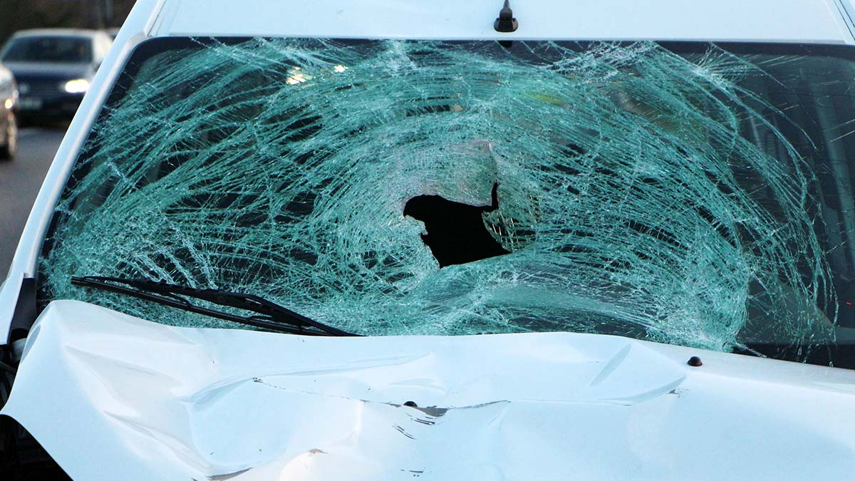 Beşiktaş'ta hafif ticari aracın çarptığı yaya öldü