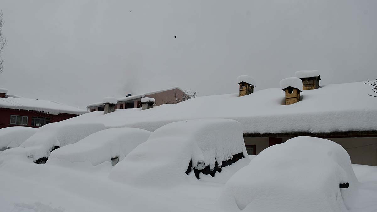 Beytüşşebap'ta evler ve araçlar kar altında kayboldu