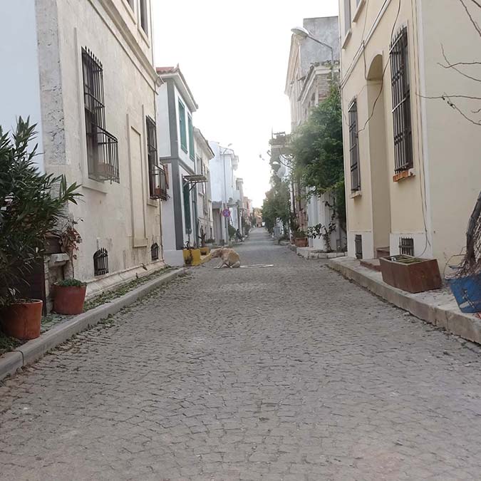 Bozcaada'da kiralık ev bulunmuyor