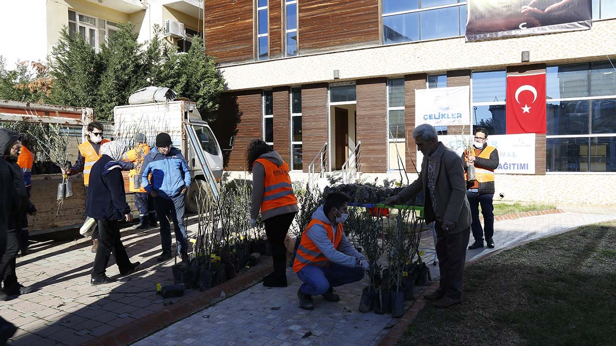 Çelikler Holding 3 bin 500 fidanı üreticilere dağıttı