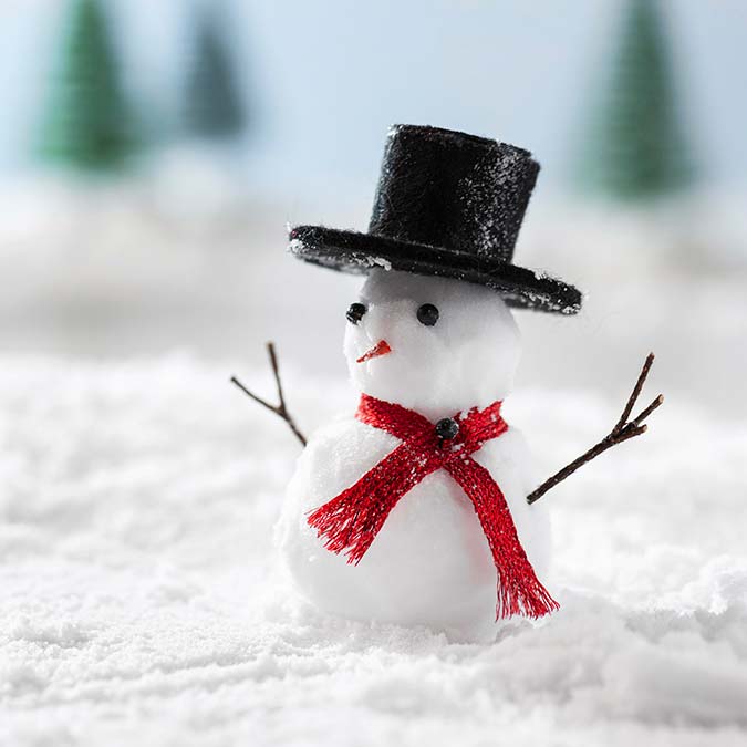 Saflığın simgesi; Kar taneleri