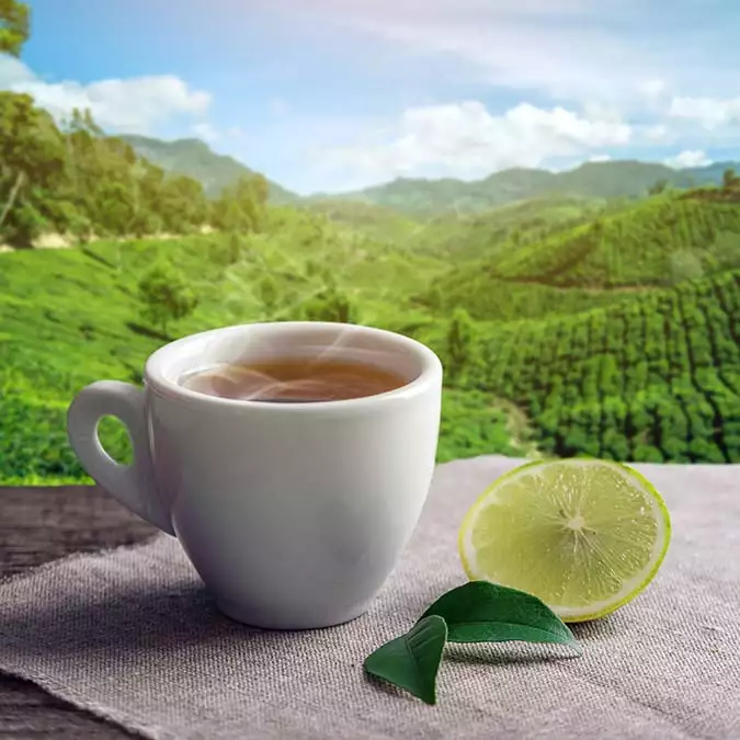 Cup hot brown tea with piece lemon background plantations - moda ve kadın - haberton