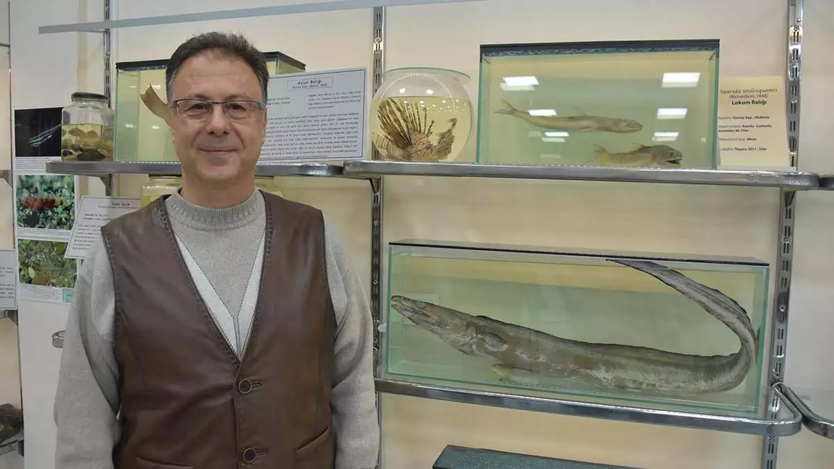 Deniz canlıları koleksiyon merkezi'nde 600 tür sergileniyor