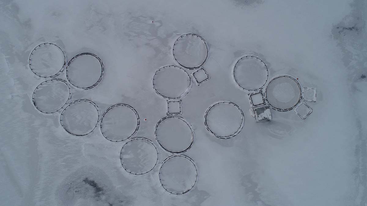 Van'da barajların doluluk oranı son yağışlarla birlikte arttı. Van Yüzüncü Yıl Üniversitesi (YYÜ) Edebiyat Fakültesi Coğrafya Bölümü Öğretim Üyesi Prof. Dr. Faruk Alaeddinoğlu, bölgeye yağışların bu yıl özellikle kar şeklinde düşmesinin çok değerli olduğunu söyledi.