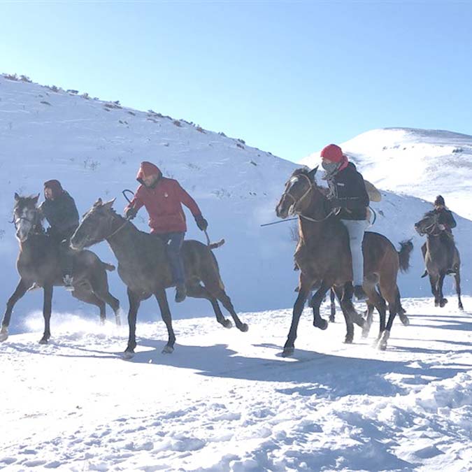 Eksi 22 derecede at yarışı
