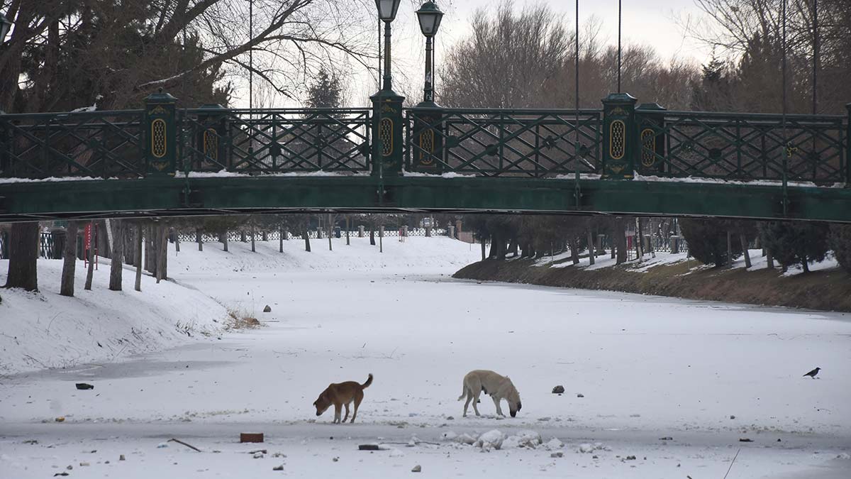 Porsuk Çayı'nda buz tehlikesi