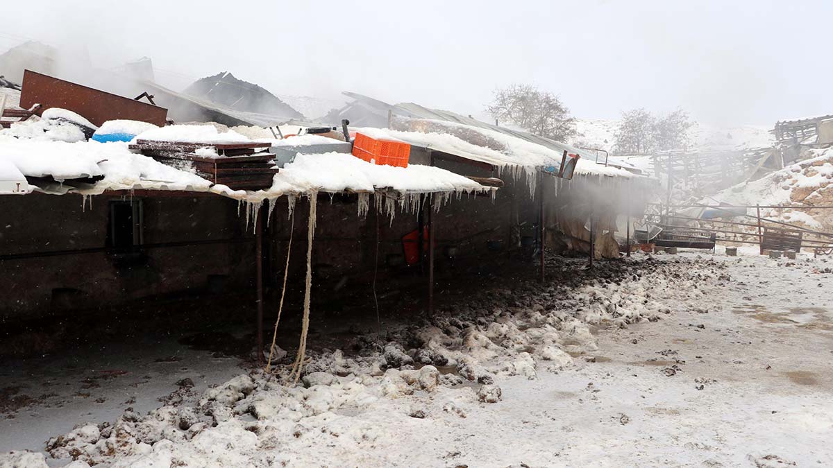 Eskişehir'de ağılda çıkan yangın 3 saatte söndürüldü