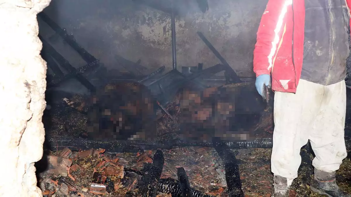 Eskişehir'de, kırsal turgutlar mahallesi'ndeki ağılda çıkan yangın, 3 saat süren müdahaleyle söndürüldü.  