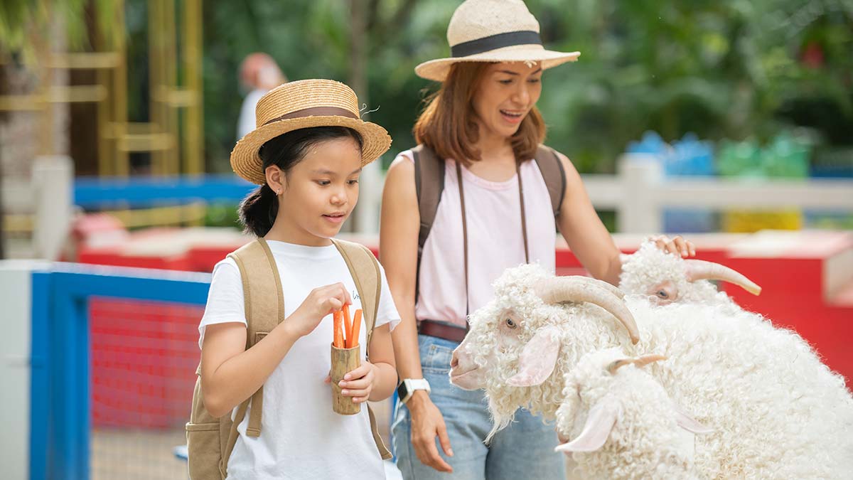 Bir görümlük hayvanat... Medeni insan hayatının, en medeni hareketlerinden birisidir sosyal hayat.