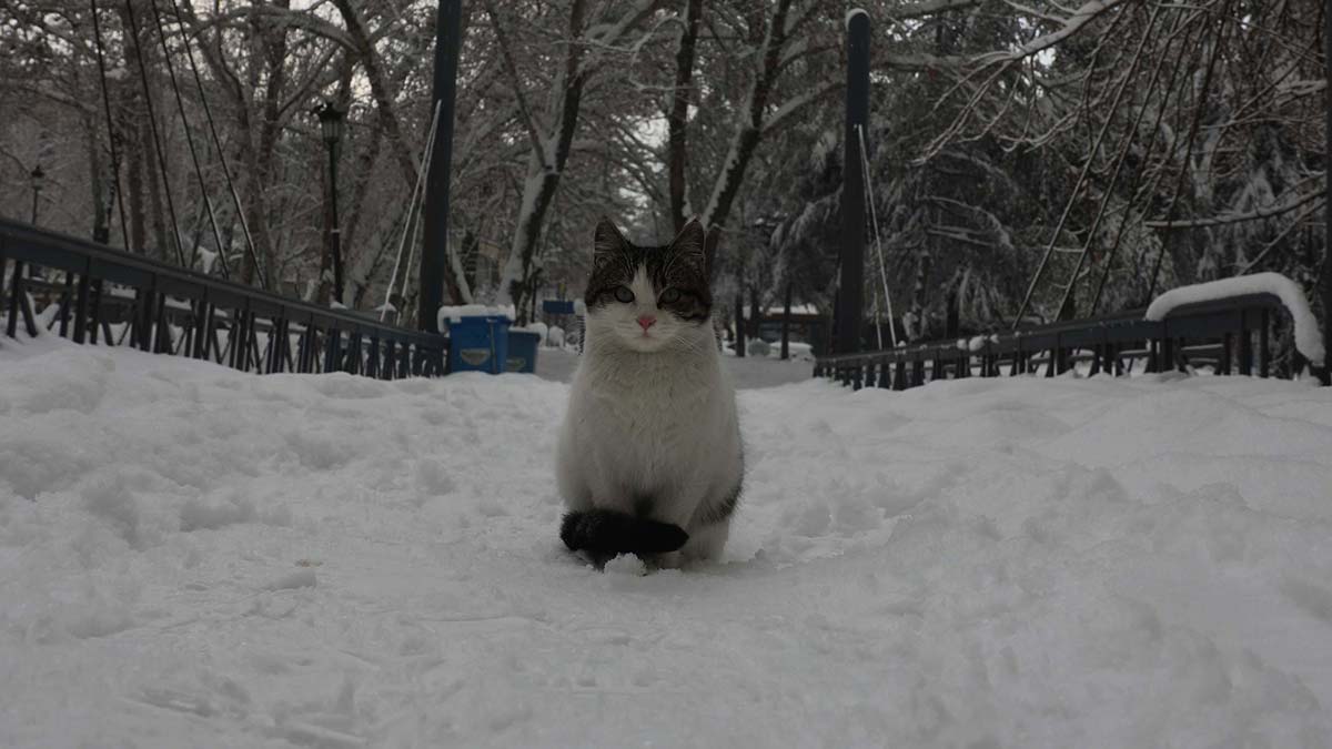 Gaziantep kar yağışıyla beyaza büründü