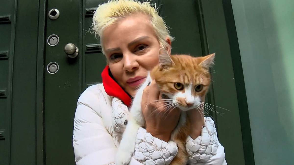 Ömür Gedik: Saldırıya uğramadım