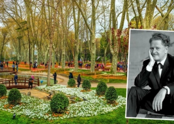 Bir Ceviz Ağacı meselesi