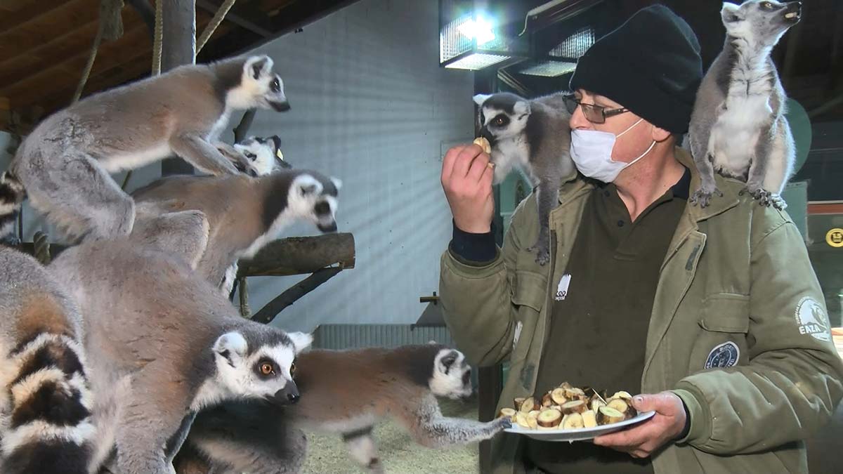 Hayvanat bahçelerinde özel ısıtma sistemi