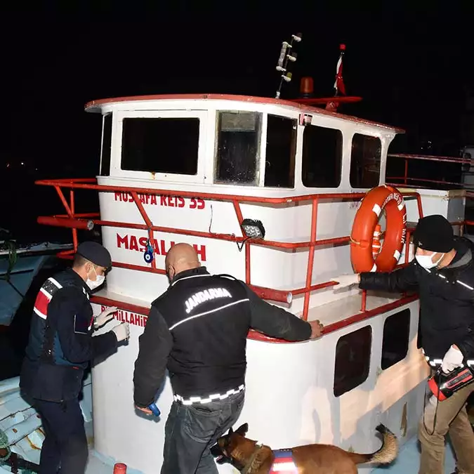 Adreslerde ve limanda bulunan bir teknede narkotik köpeklerle arama yapıldı.
