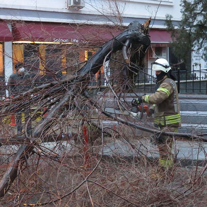 Kadıköy'de ağaç ve aydınlatma direği yola devrildi