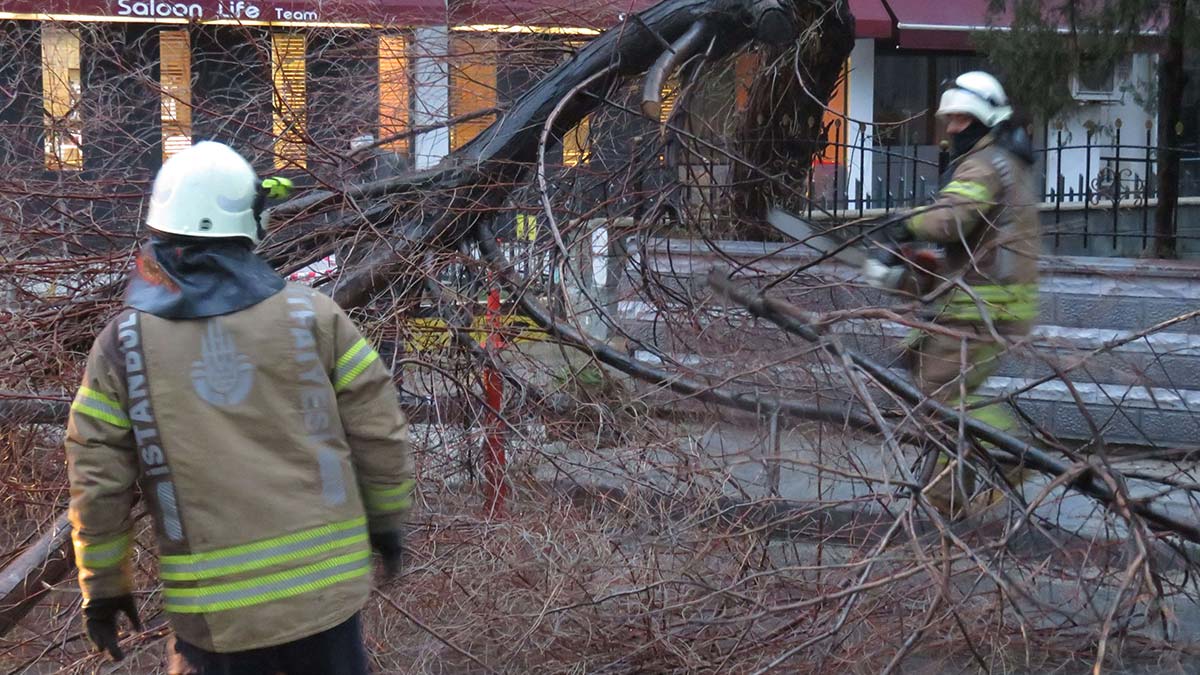 Kadıköy'de ağaç ve aydınlatma direği yola devrildi