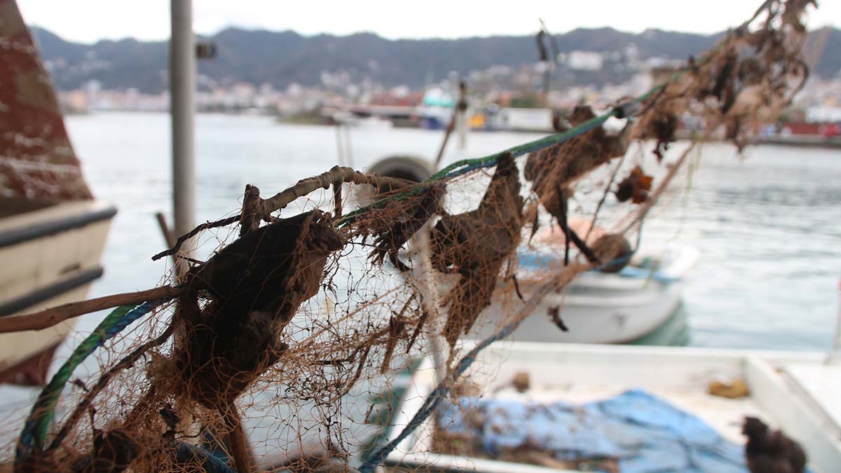 Doğu Karadeniz'de kıyılara kontrolsüz dolgu ve derelere atılan çöpler, taşkınlarla sürüklenerek denize ulaşıyor. Denizlerde kirliliğe yol açan atıklar, balıkçıların takıldığı ağlarına hasar veriyor.
