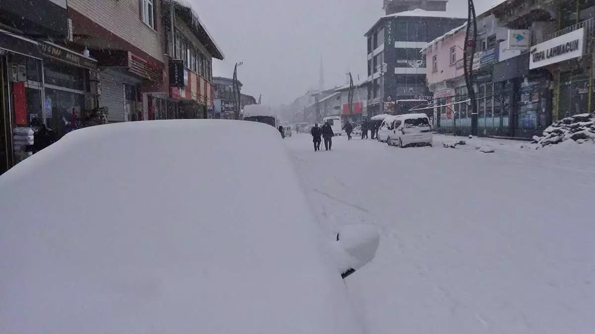 Karlıova'da kar yağışı nedeniyle okullar tatil oldu