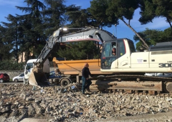 Sokak hayvanları için rehabilitasyon merkezi