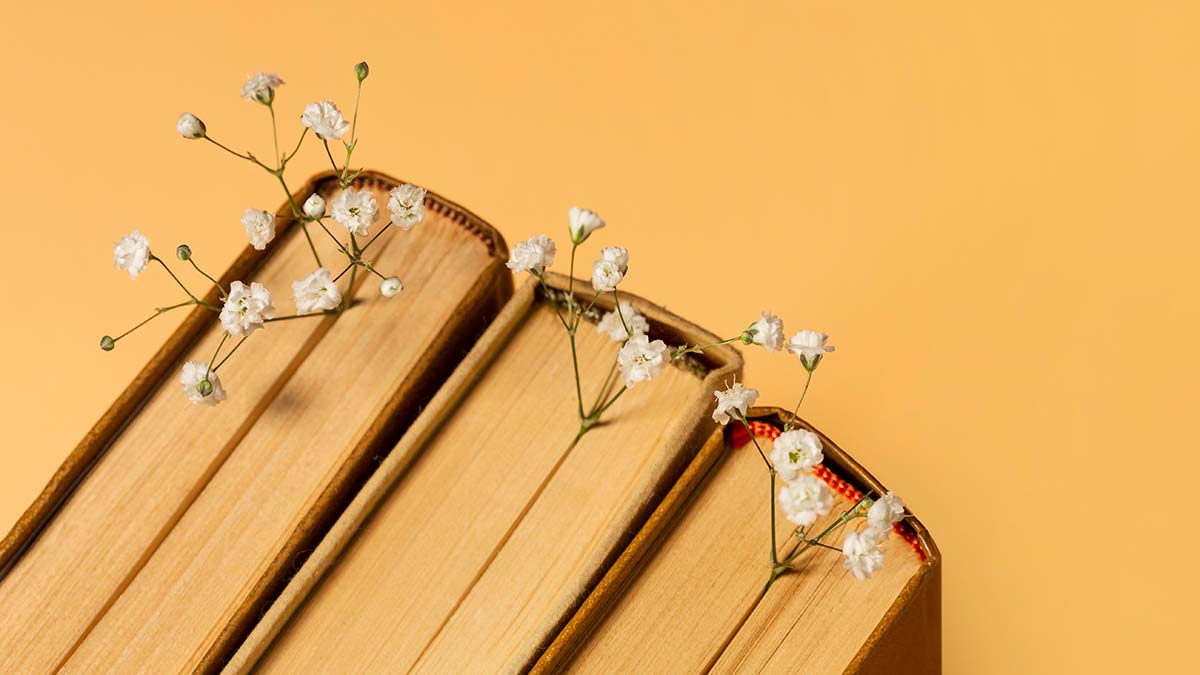 Yeni başlangıçlar yeni umutlar ve yeni kitap