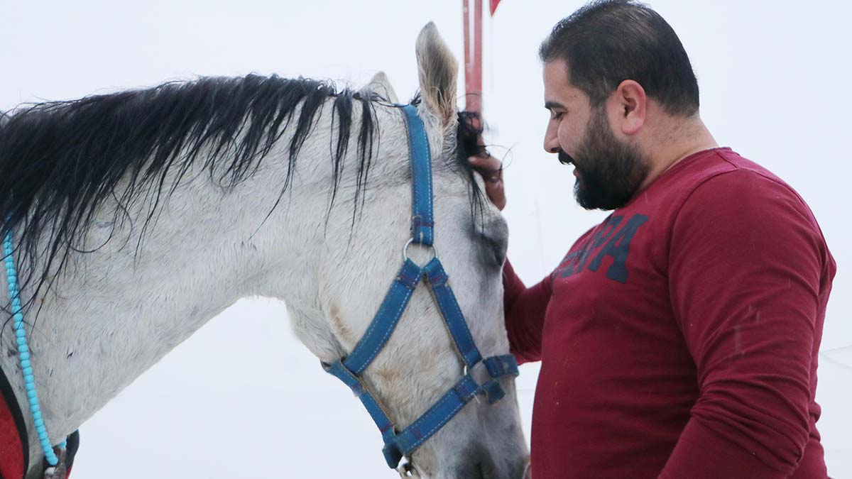 Köpekten kaçan cirit atı, 25 kilometre koştu