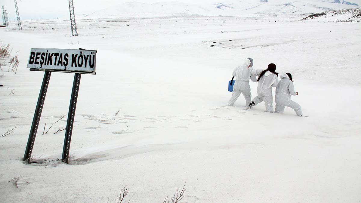 Zorlu şartlarda aşılama çalışmaları